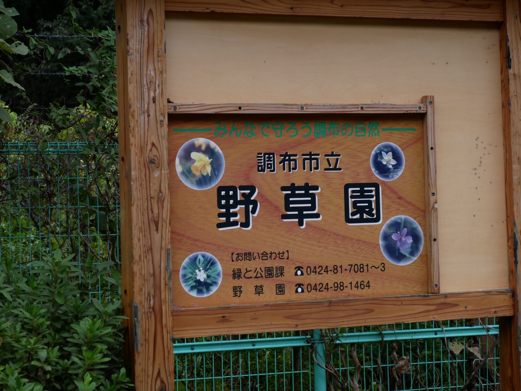 神代植物公園と周辺 19 10 26 やまびこｇさんの国分寺市の活動日記 Yamap ヤマップ