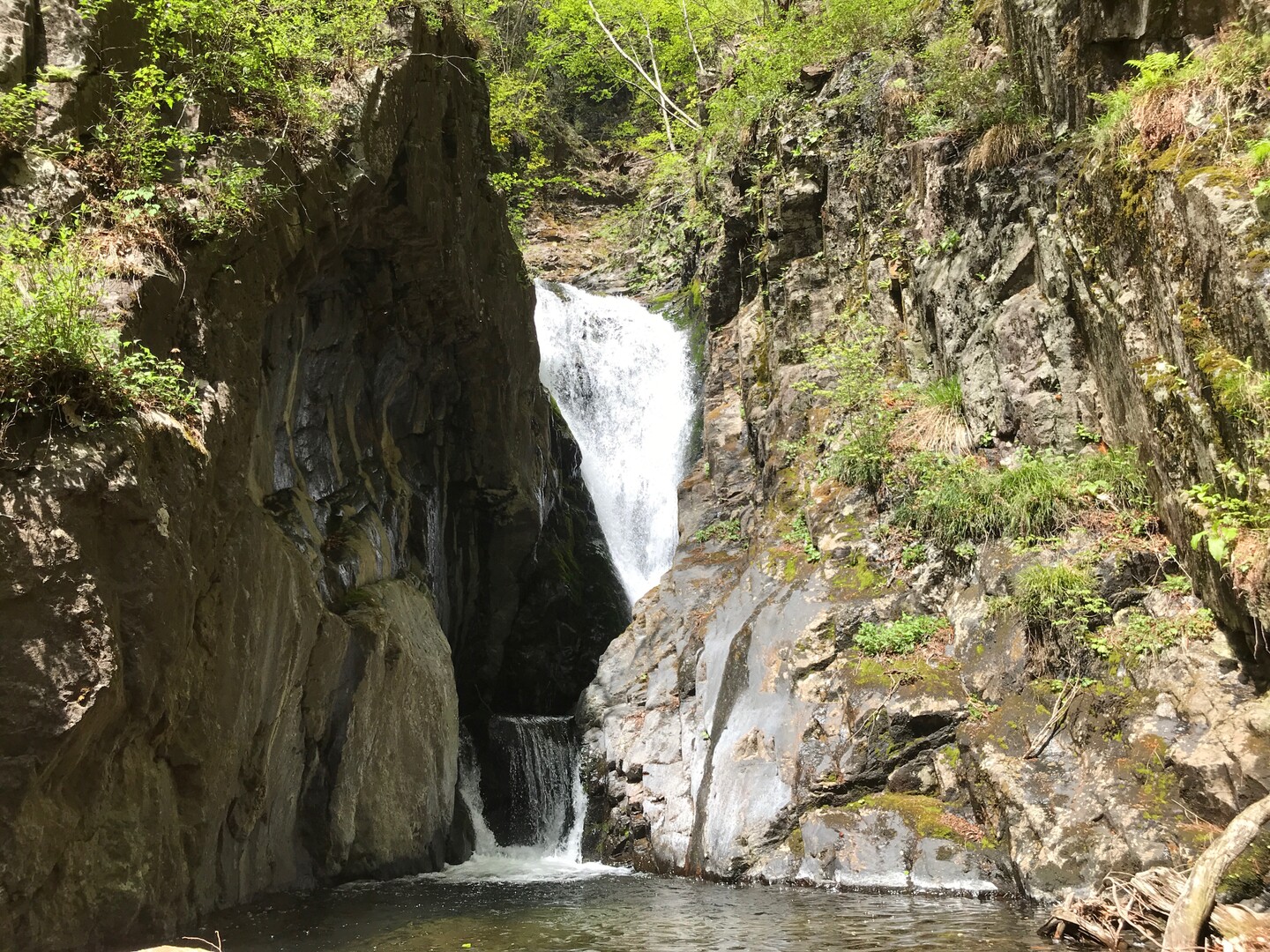 板敷渓谷 中津森 やまとさんの茅ヶ岳 金ヶ岳 太刀岡山の活動日記 Yamap ヤマップ