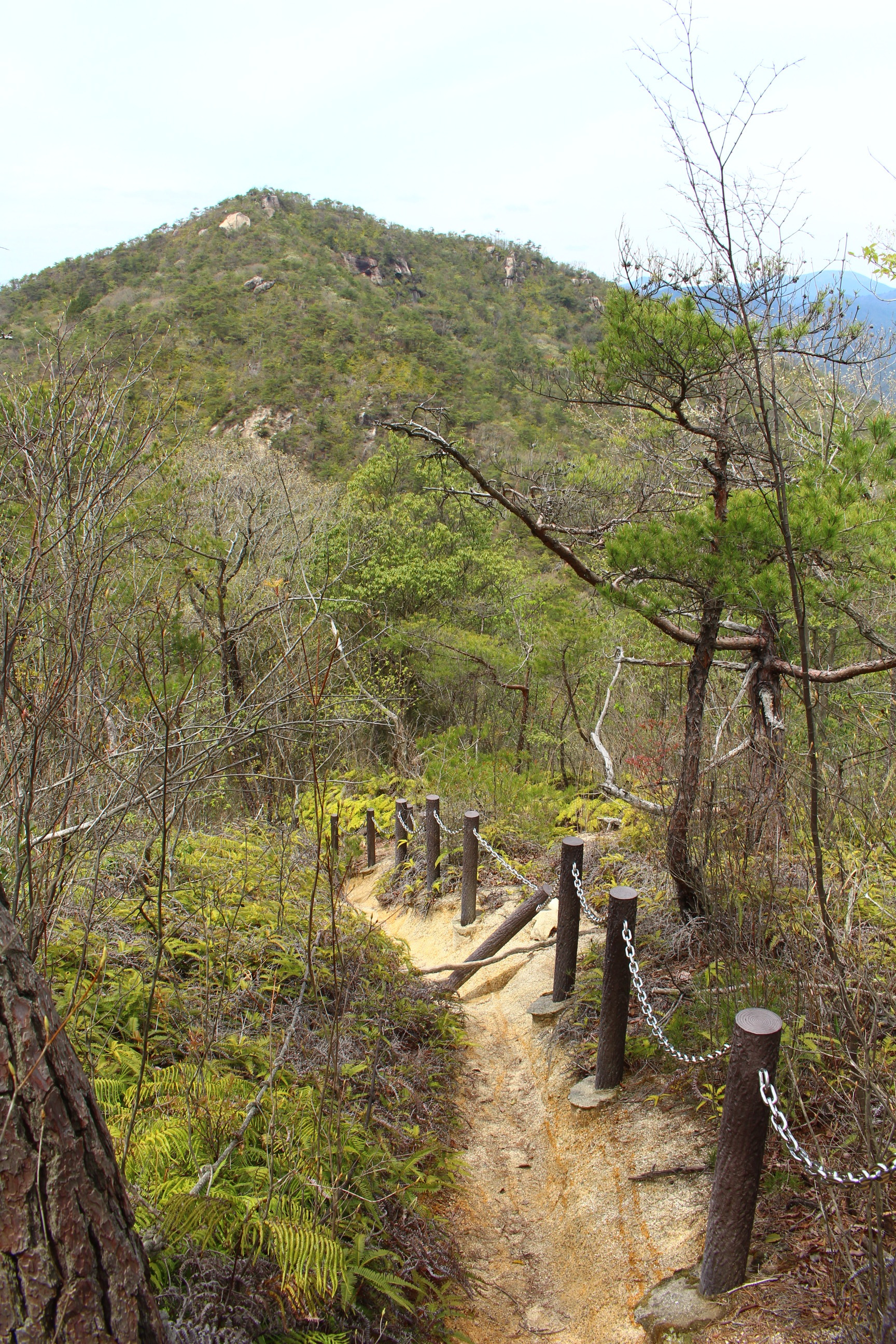 あおひなは今日も元気 白滝山 大師山 るぷるどぅさんの白滝山 山口県岩国市 大師山の活動日記 Yamap ヤマップ