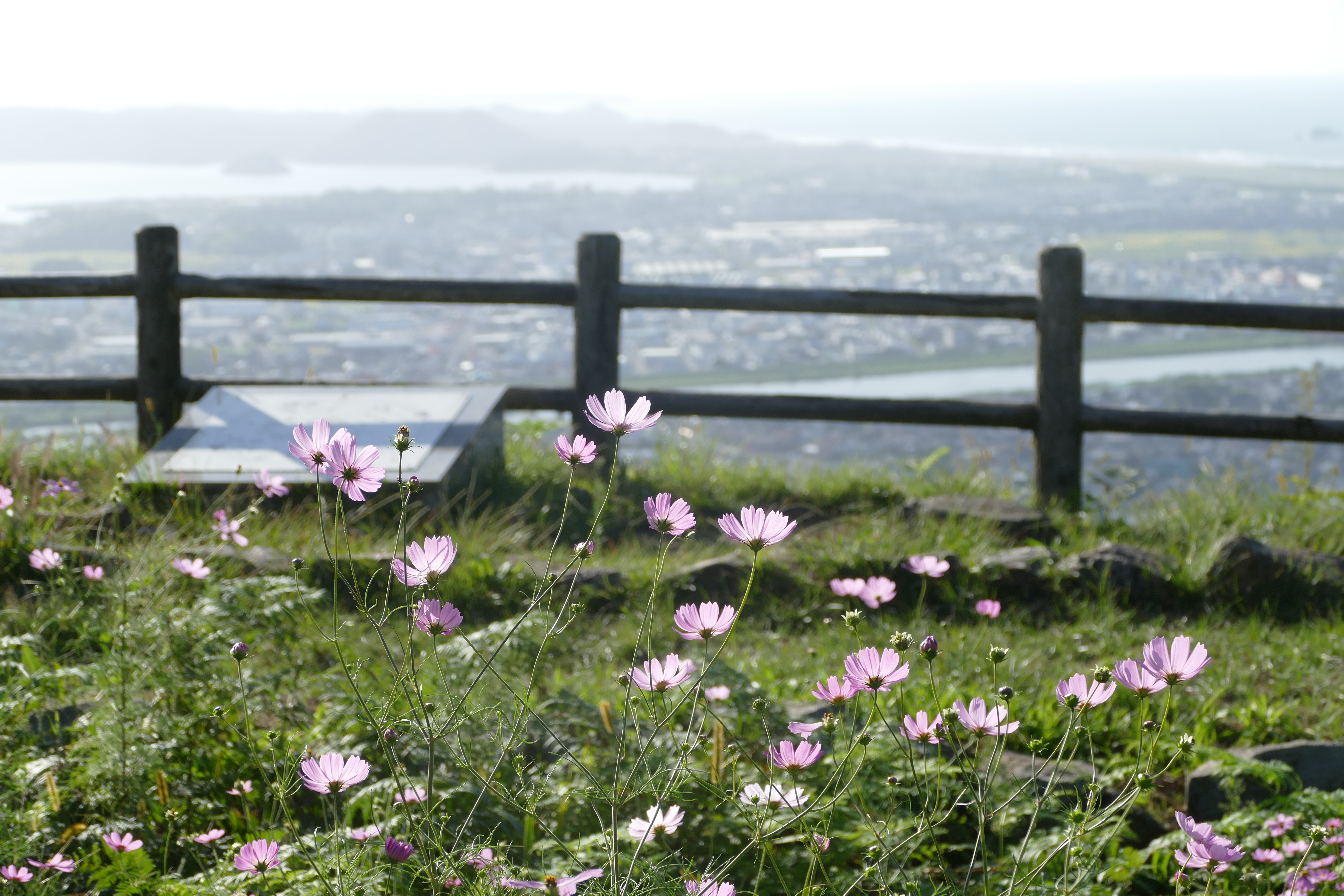 鳥取市街一望 久松山 うにゅーさんの久松山 本陣山 摩尼山の活動データ Yamap ヤマップ