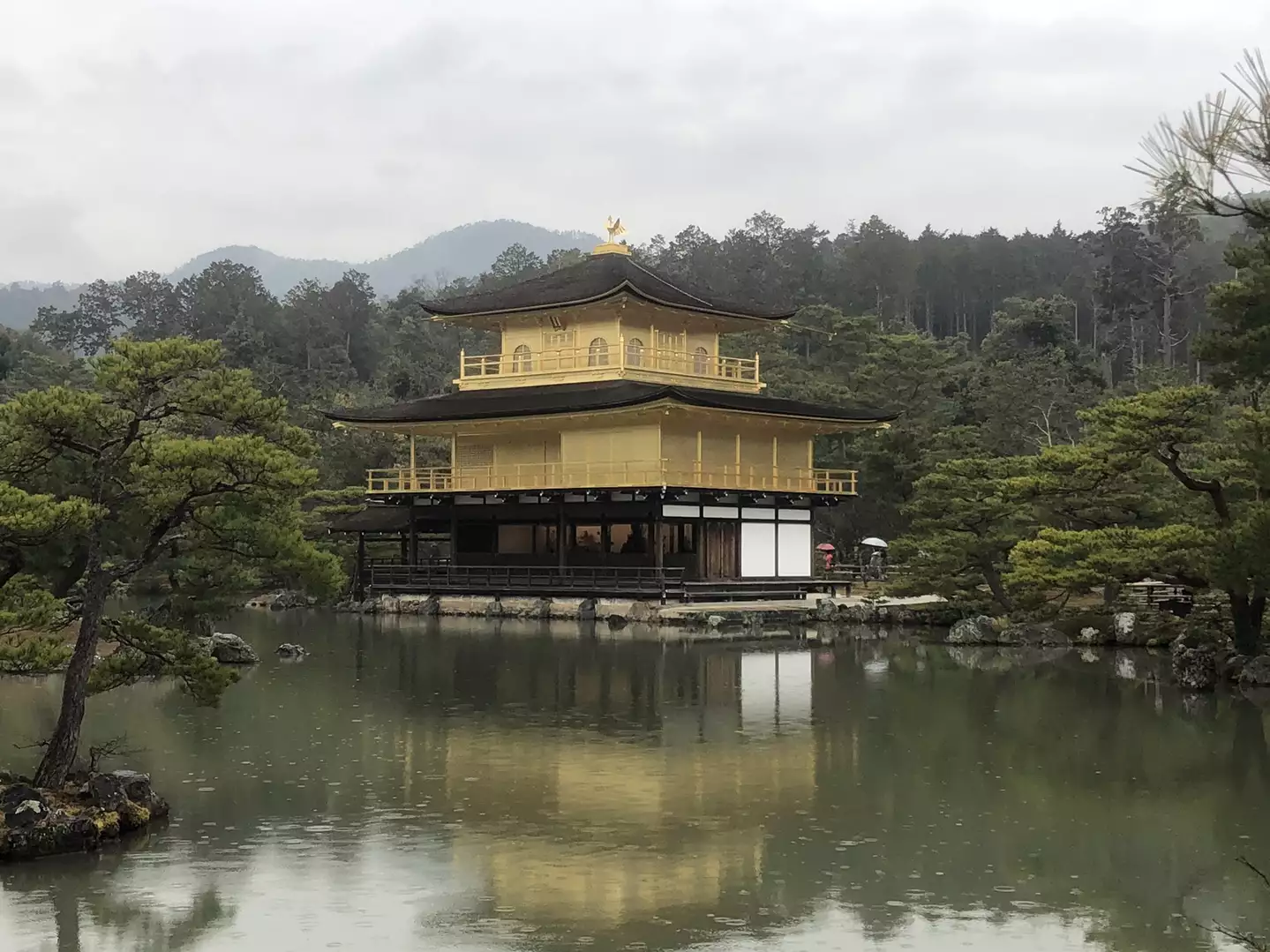 金閣寺は寂寂と降る雨の中 落ち着いた輝きを放っていた Zakkamanさんの京都市の活動日記 Yamap ヤマップ