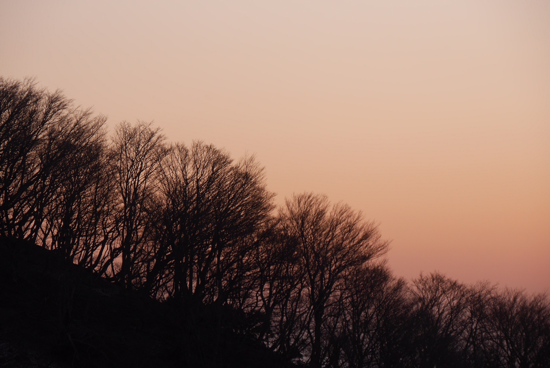 権現山 金糞峠 04 25 Senさんの比良山地 武奈ヶ岳 釈迦岳の活動データ Yamap ヤマップ