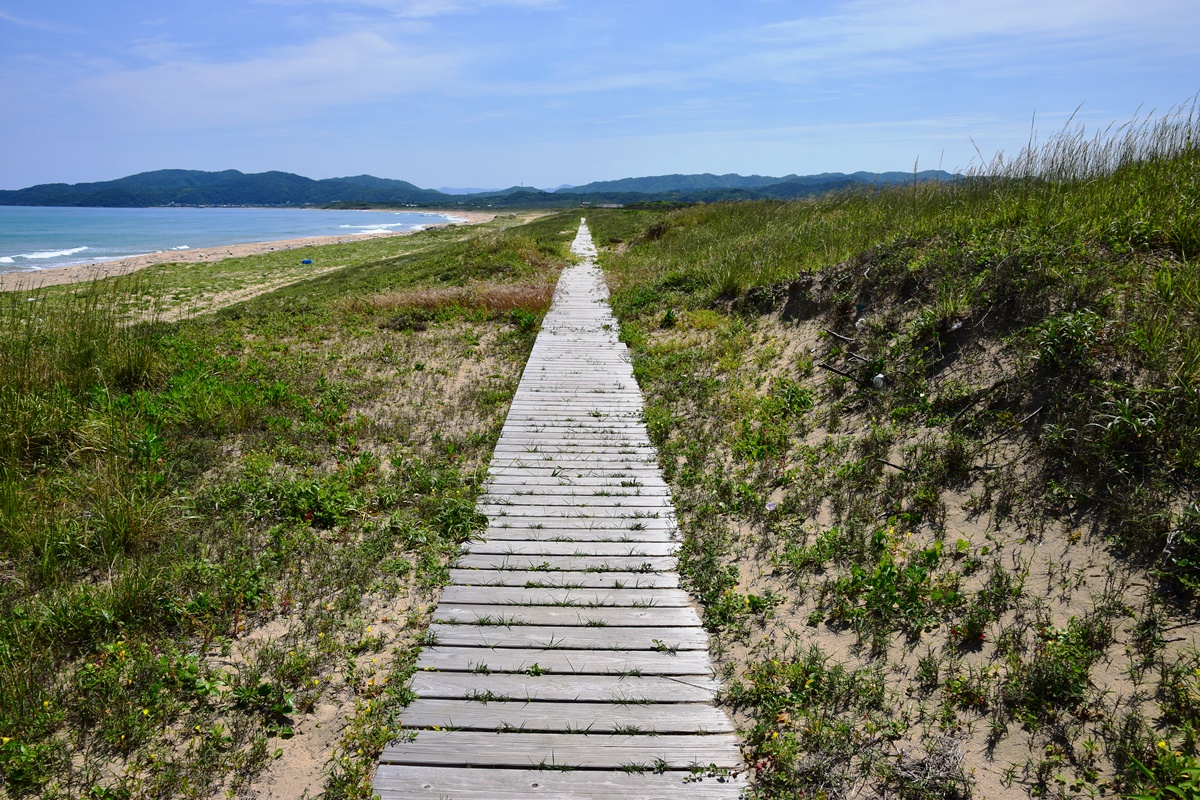 ウッドデッキの遊歩道を歩きます。