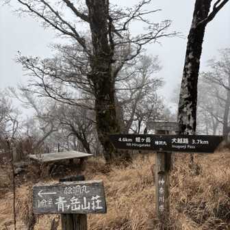 檜洞丸⛰️山頂🙌
真っ白💦