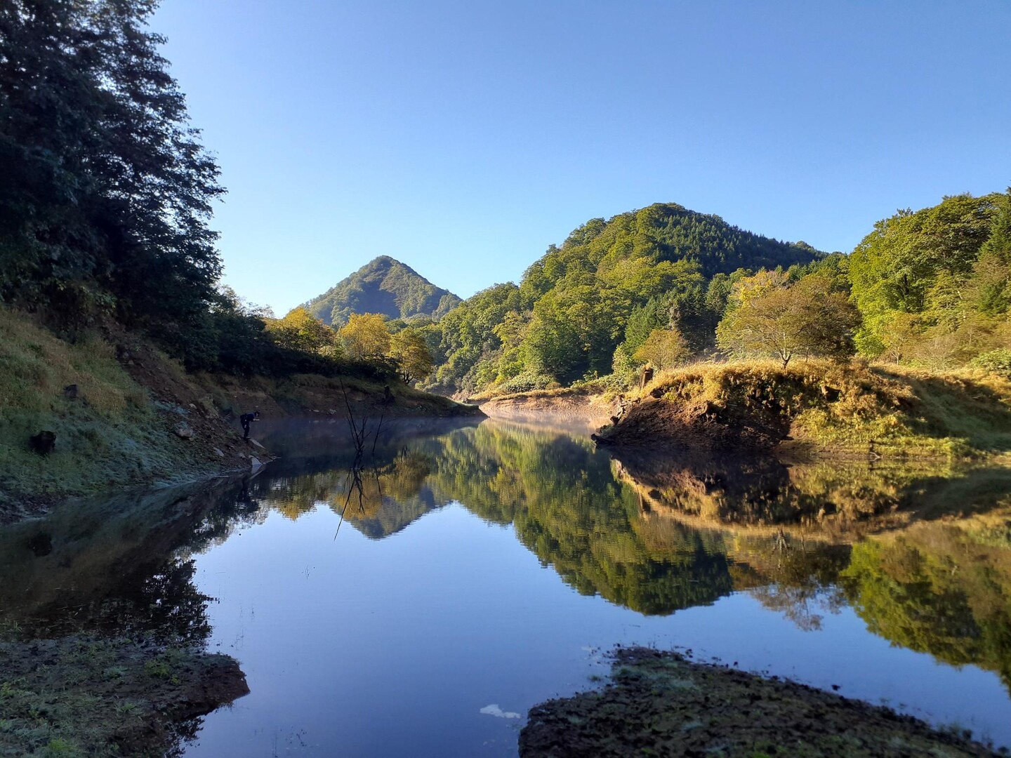 ダムトラウト(゜)))