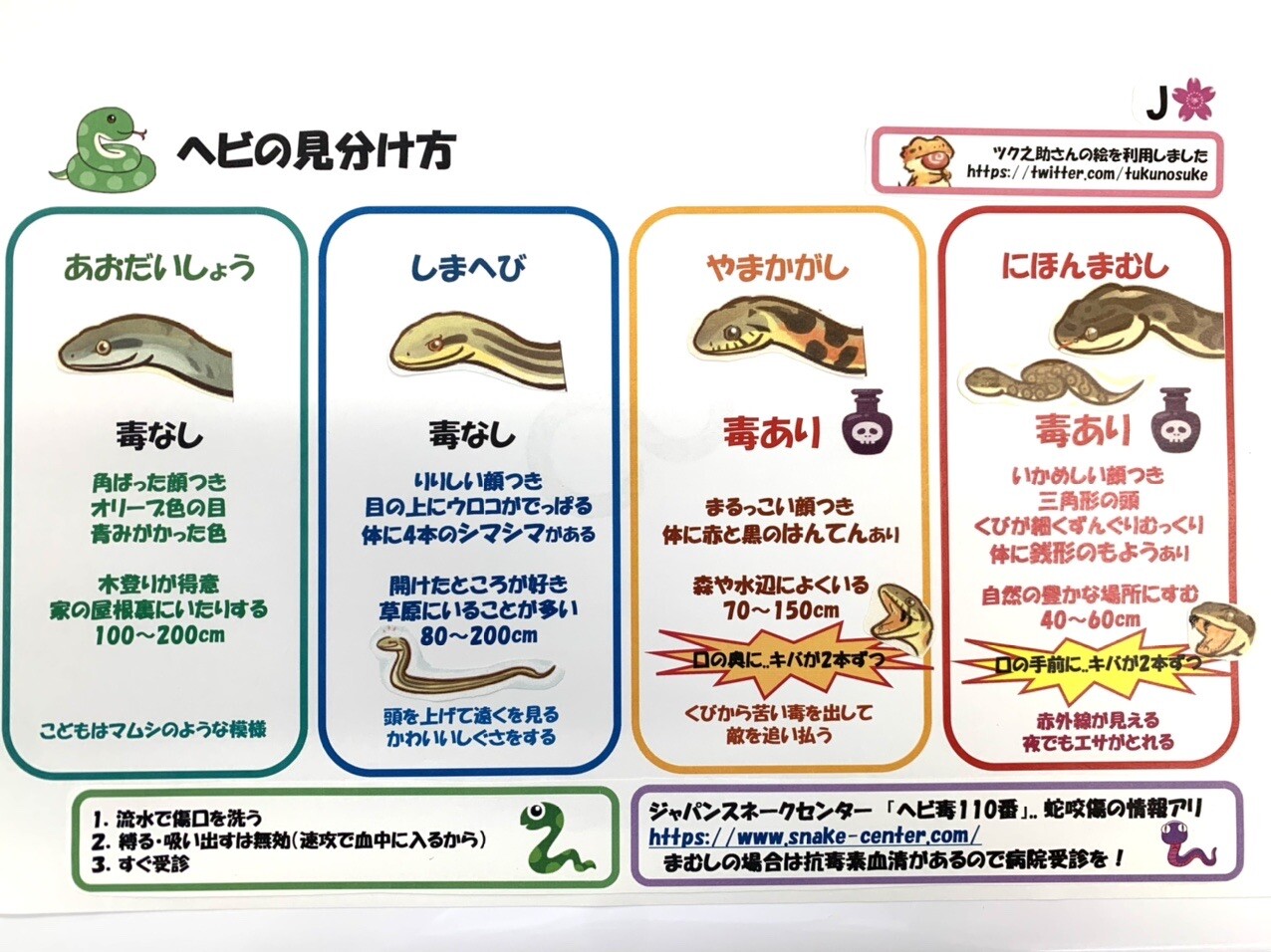 特集ギャラリー：命を奪うヘビの毒 写真と図解13点（2020年12月号） | ナショナルジオグラフィック日本版サイト