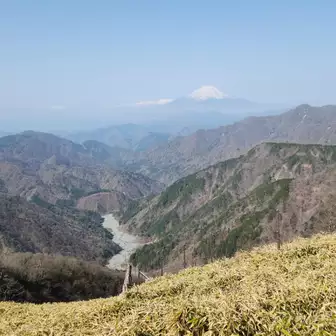 箒杉沢と富士山
