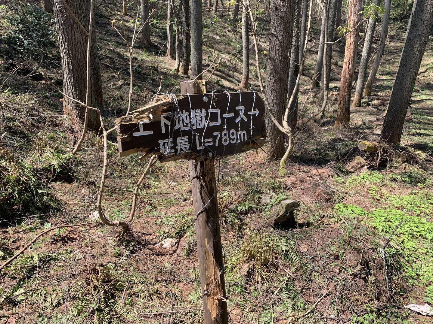 雨呼山 鵜沢山 撤退 ほんのろさんの面白山 神室岳 雨呼山の活動日記 Yamap ヤマップ