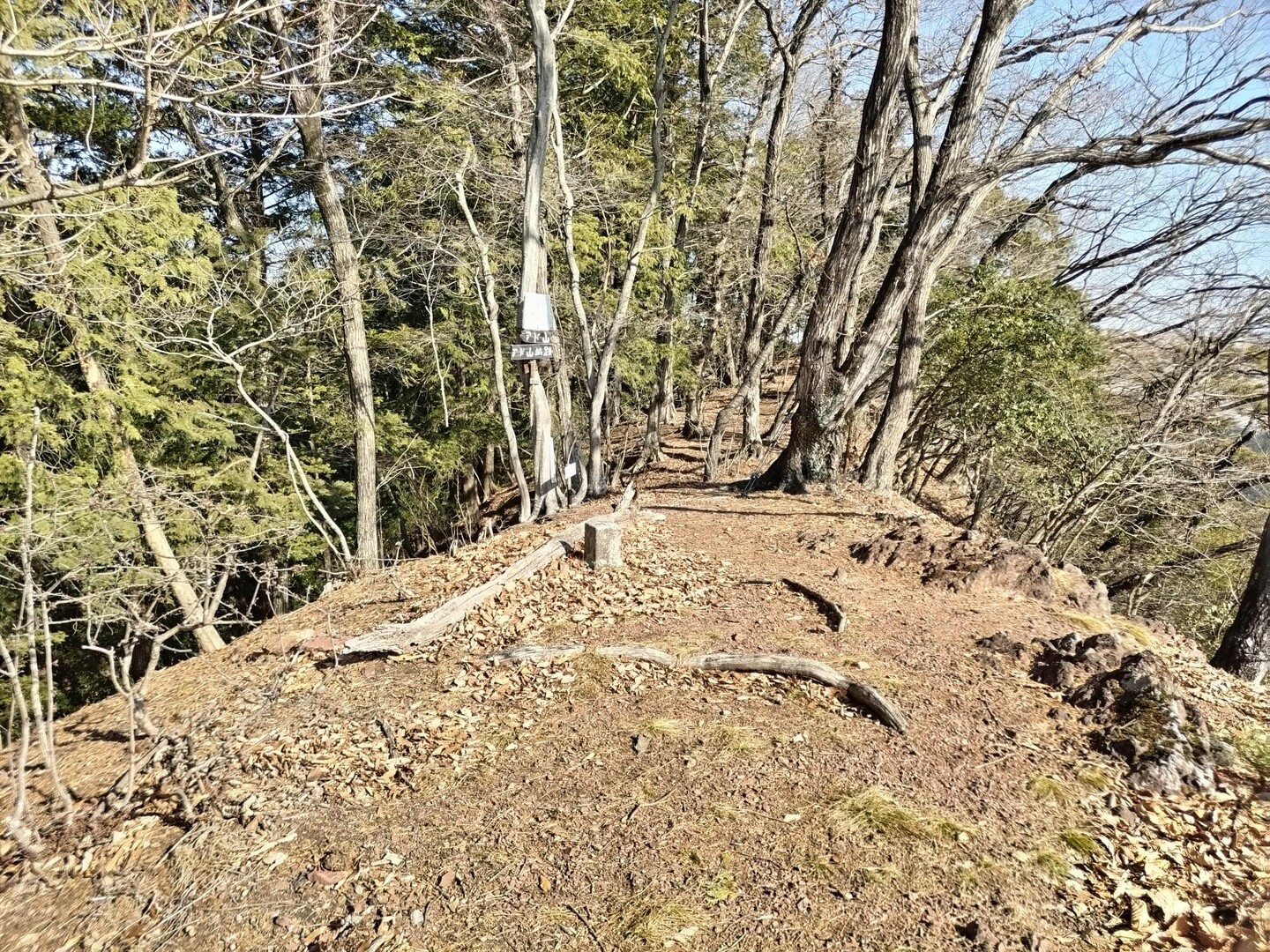 嘉多山・アド山 / 長坂山・高富士山・アド山の写真19枚目 / 山頂尾根の整地具合からして、見張り台や兵 YAMAP / ヤマップ