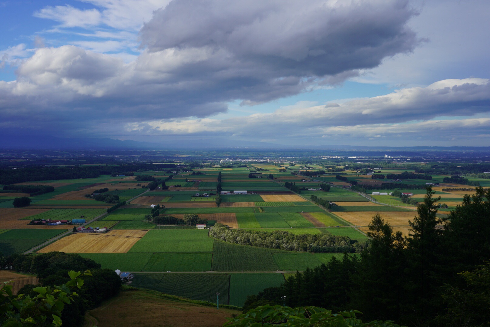 新嵐山スカイパーク 展望台 Ykさんの芽室岳 剣山の活動データ Yamap ヤマップ