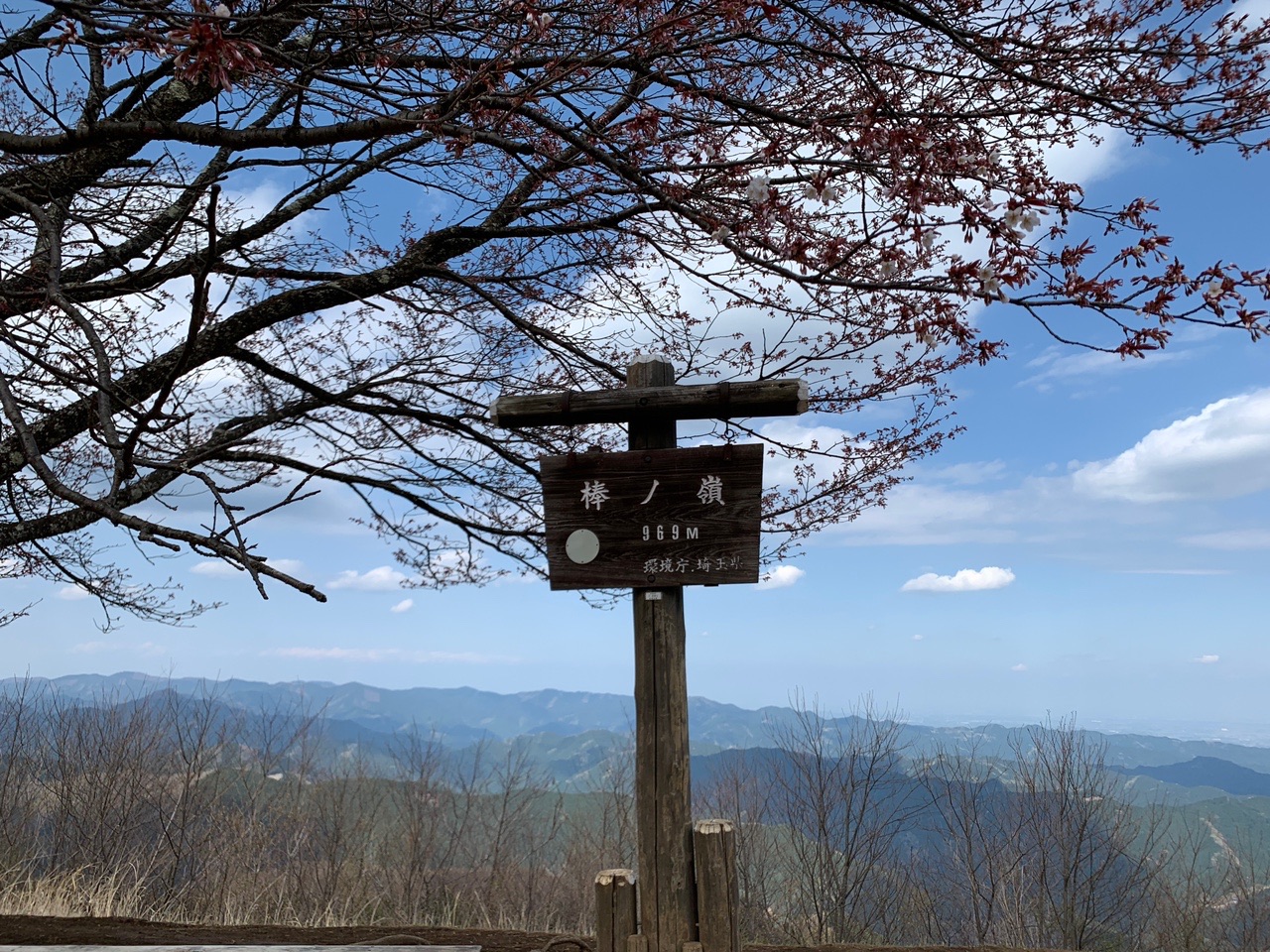 関東百名山43座目 棒ノ嶺 棒ノ折山 ユージさんの棒ノ折山 棒ノ嶺 の活動データ Yamap ヤマップ