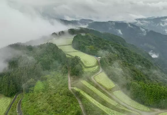 天空の地 島ヶ峰そば畑 2023/10/1 / ウォーキングの写真39枚目 / 国道に下りてきました | YAMAP / ヤマップ