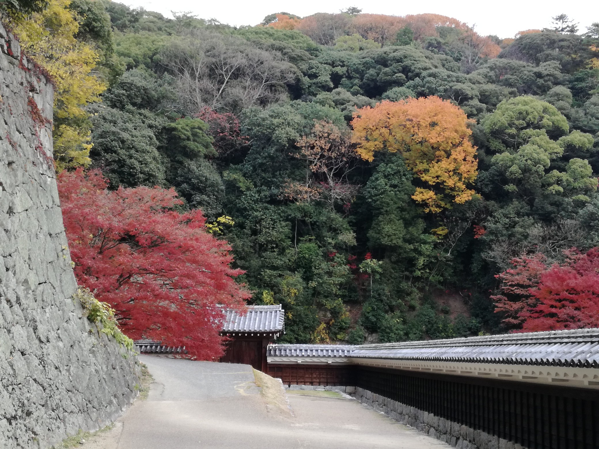 お散歩 松山城周辺 こばばさんの松山市 南エリア の活動データ Yamap ヤマップ