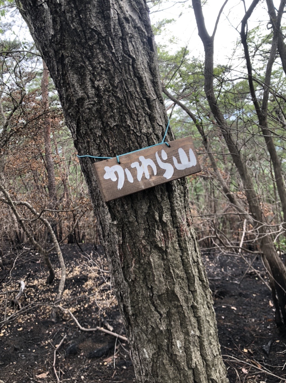 両崖山・仙人ヶ岳・石尊山 かわら山
