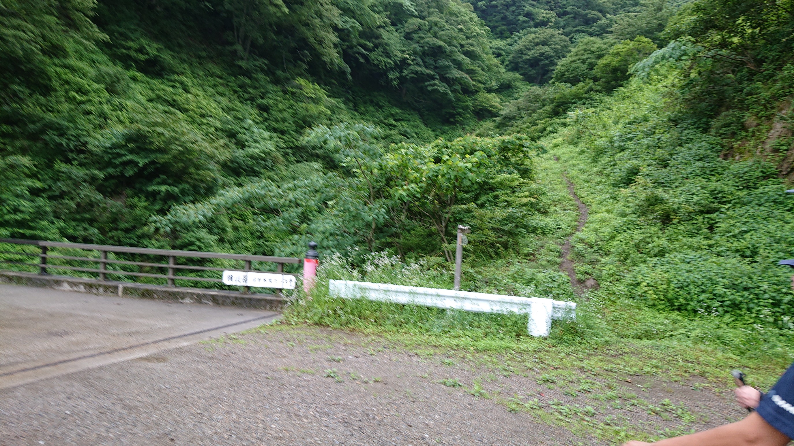 横山岳 19 07 07 Takechanさんの横山岳 墓谷山の活動日記 Yamap ヤマップ