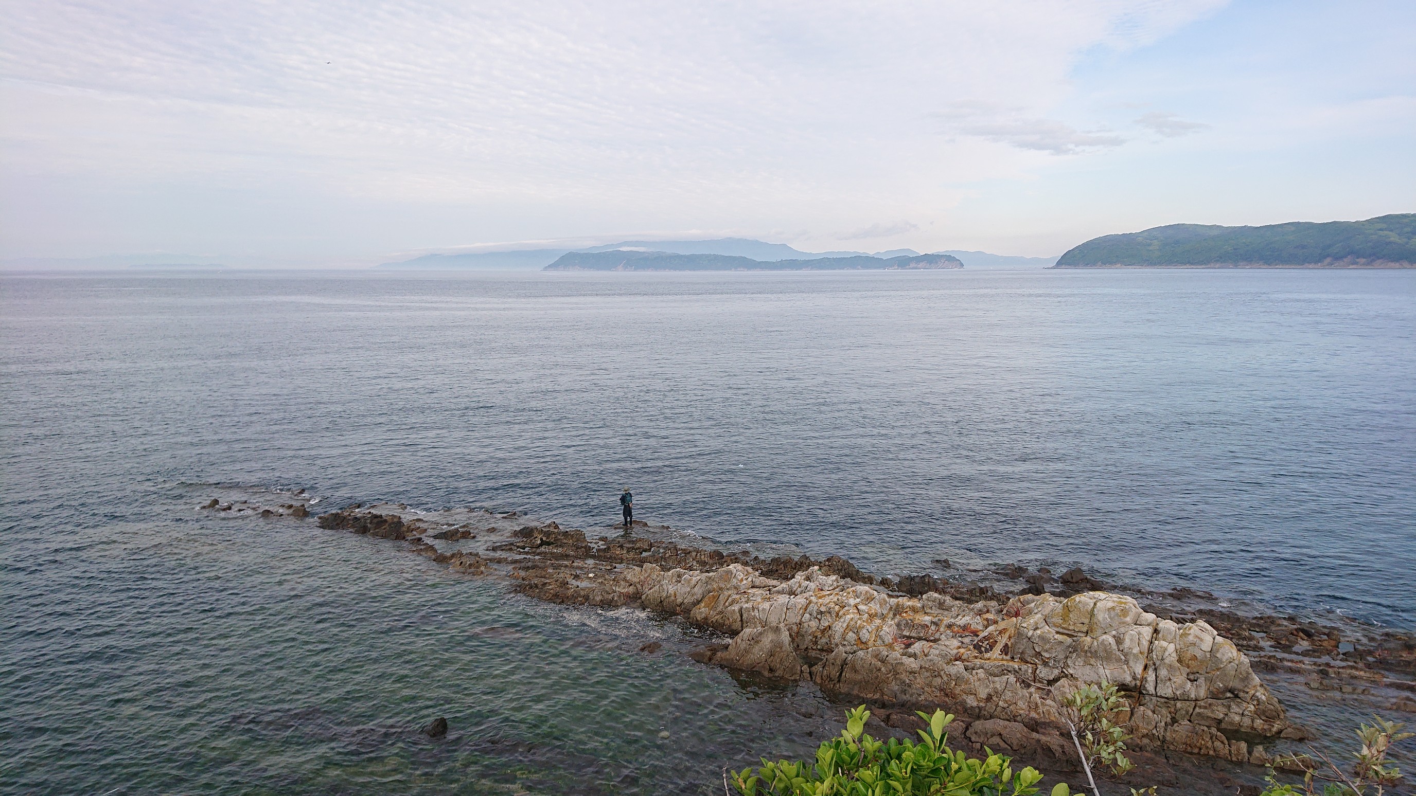 和泉山脈西と和歌山市内の低山巡り みさき公園駅 加太駅 冷水浦駅 マーブルサクラさんの和歌山市の活動データ Yamap ヤマップ