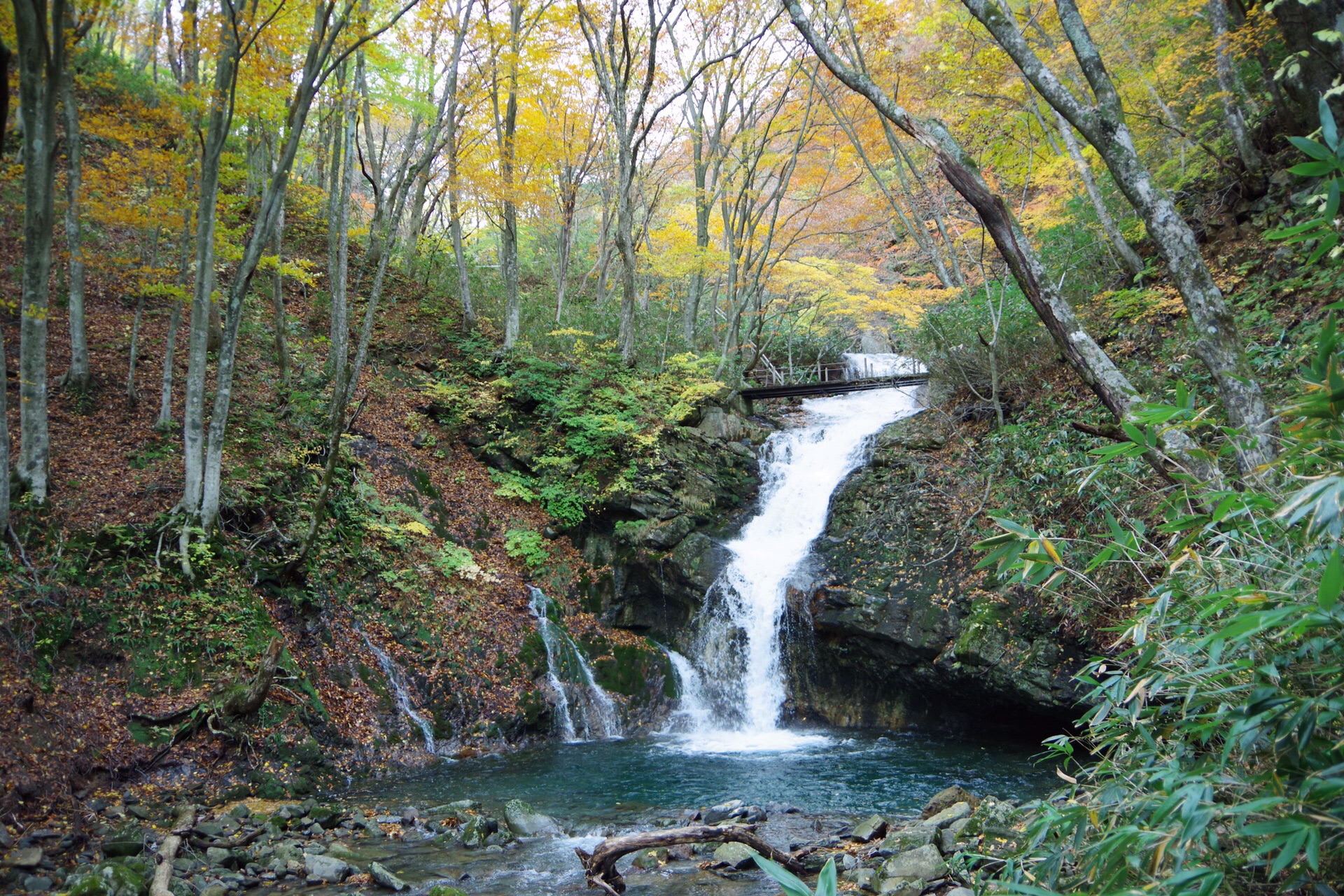 あだたら渓谷奥岳自然遊歩道 しんさんの安達太良山 箕輪山 鬼面山の活動データ Yamap ヤマップ