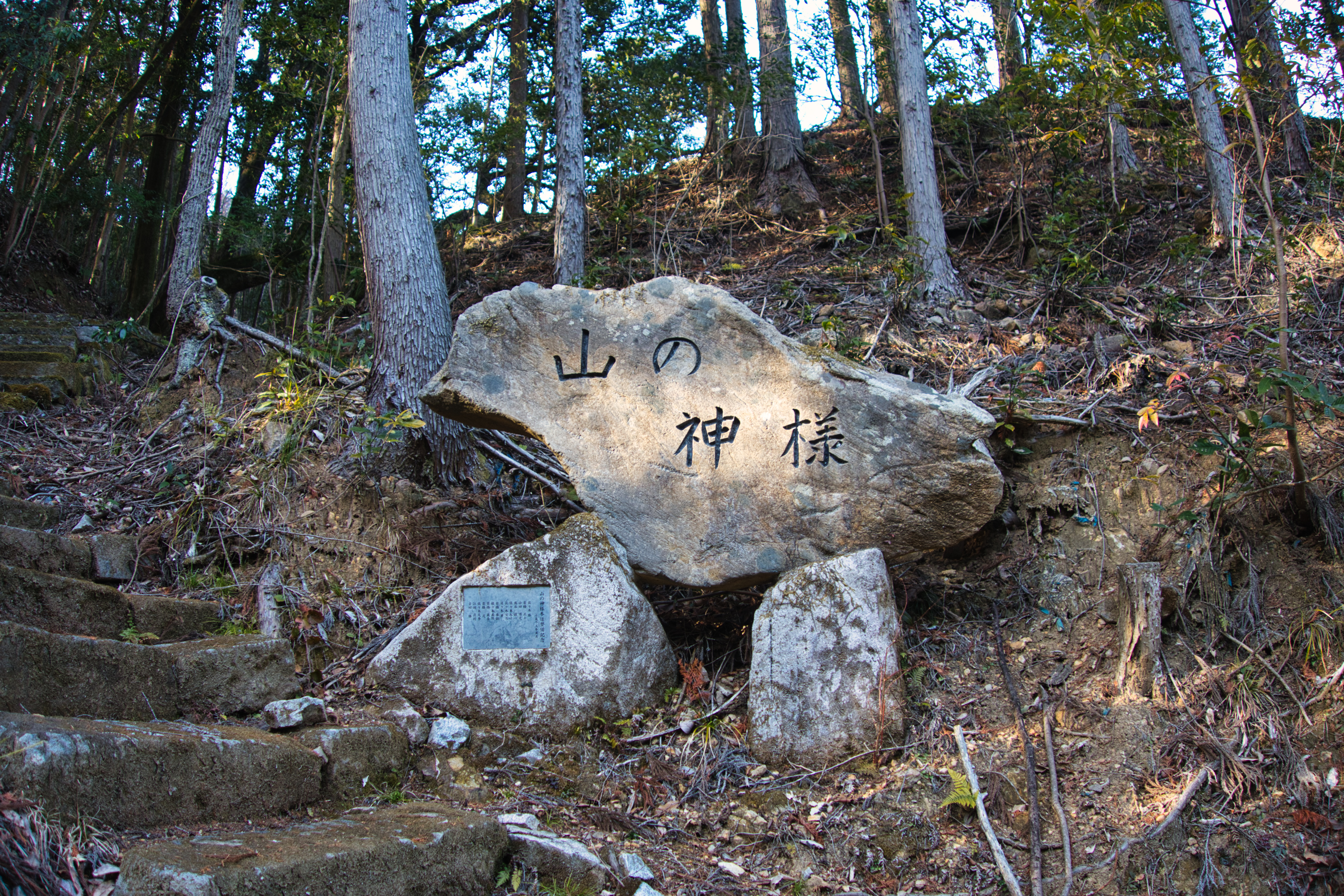城ヶ迫 土師山 ぐみりんさんの釈迦ヶ岳 福岡県 大日ヶ岳 岳滅鬼山の活動日記 Yamap ヤマップ