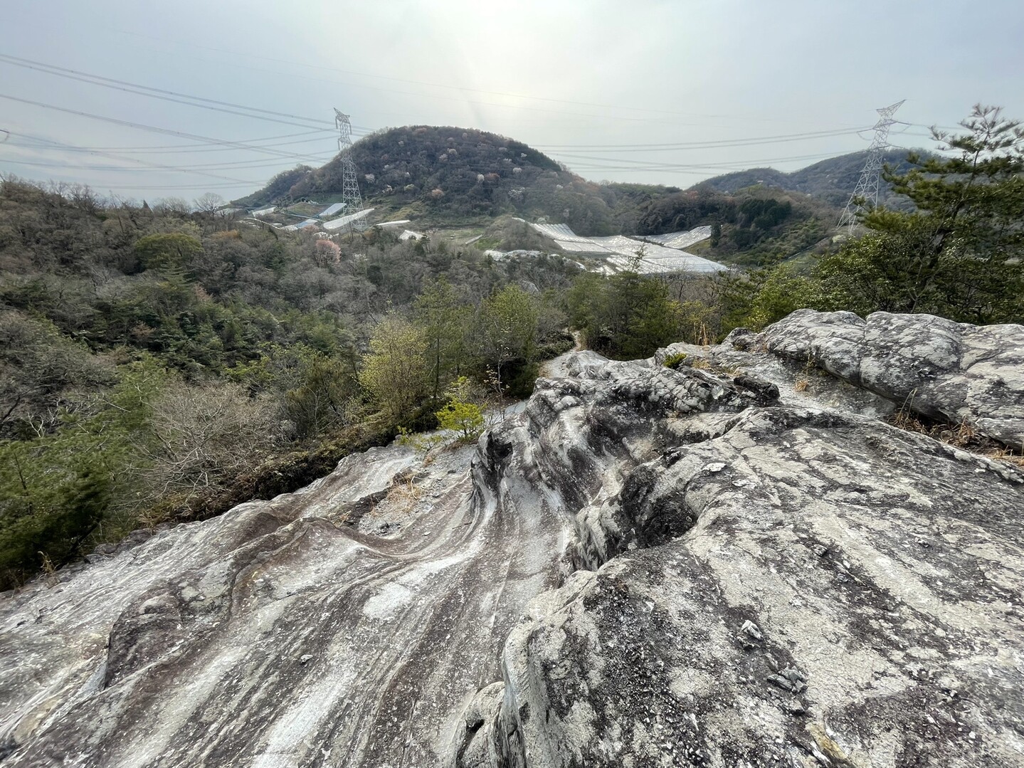 屯鶴峯（どんずるぼう）〜 二上山へ / とらちゃんさんの登山の活動データ YAMAP / ヤマップ