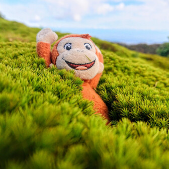 🐵おさるのユージ🐵