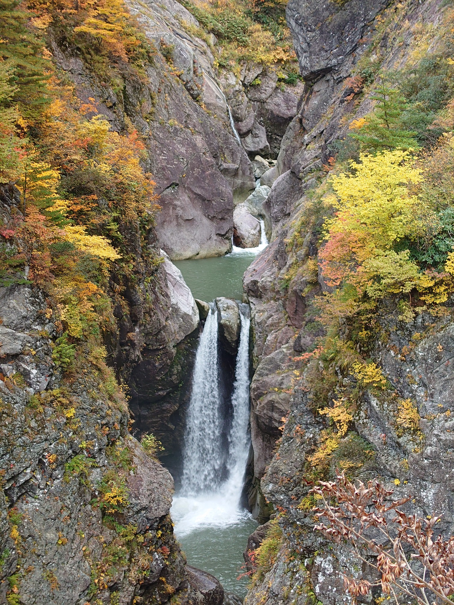 裏巻機渓谷の紅葉 ヒロさんの巻機山 割引岳 金城山の活動データ Yamap ヤマップ