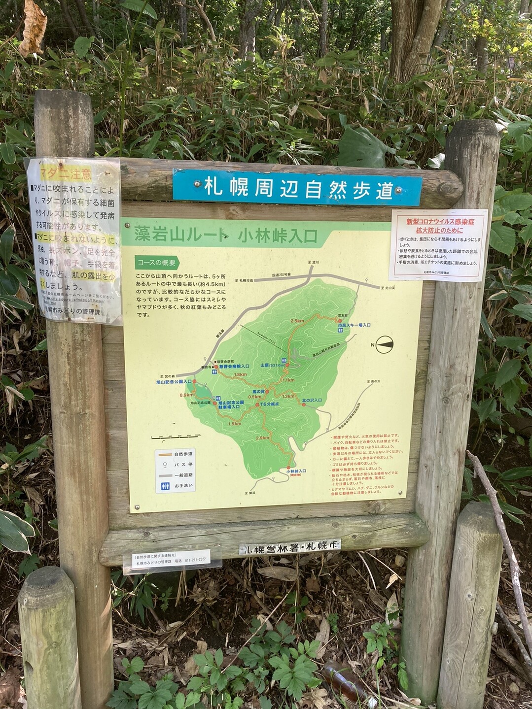 藻岩山 モイ1 5 Akiraoozoraさんの藻岩山の活動日記 Yamap ヤマップ