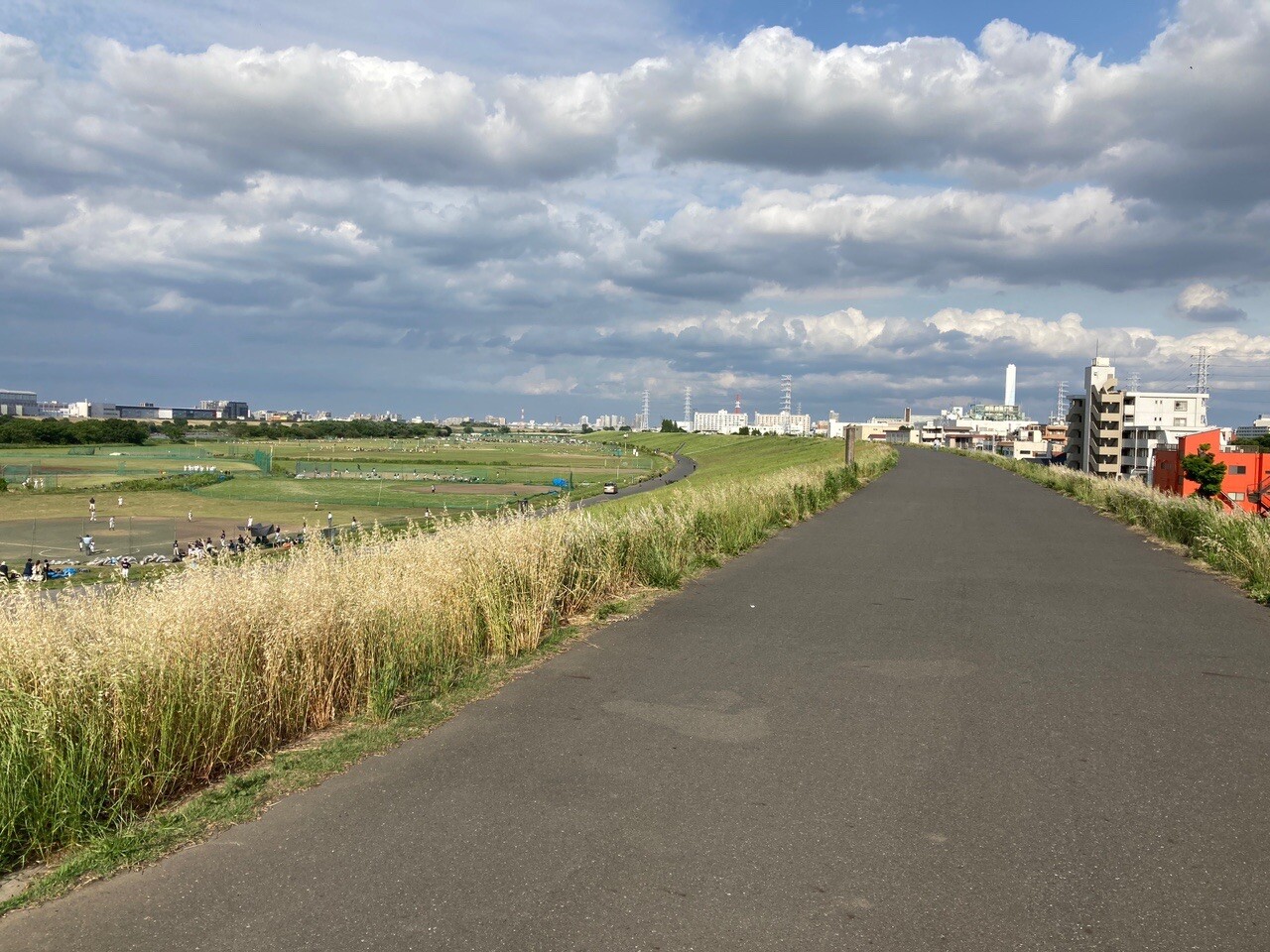 東京都一周つなぎ荒川編リハビリ 西高島平 赤羽岩淵 ウォーキング 21 05 15 ずめくろさんのウォーキングの活動日記 Yamap ヤマップ