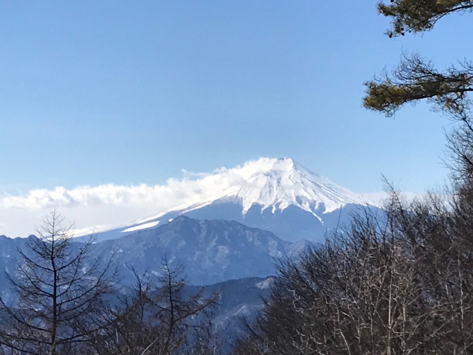 扇山 往復コースの地図・登山ルート・登山口情報 | YAMAP / ヤマップ