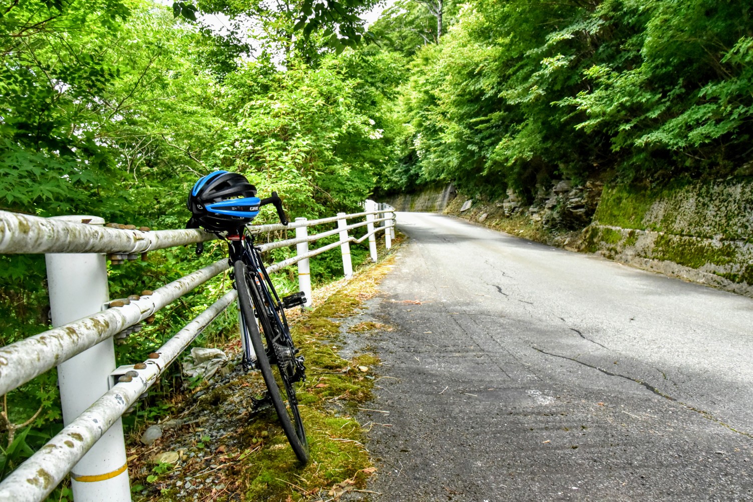 自転車登山】石鎚UFOライン / Dekoponさんの瓶ヶ森・伊予富士の活動 
