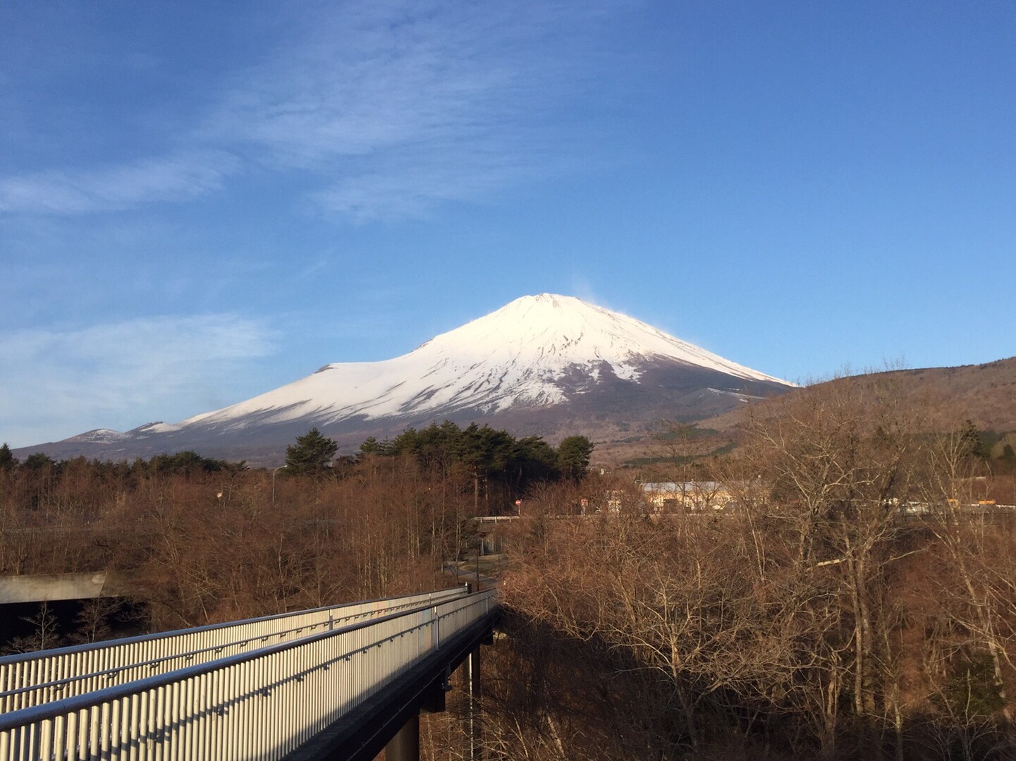 富士箱根トレイル２ 須走 三国山 のりのり さんの三国山の活動日記 Yamap ヤマップ