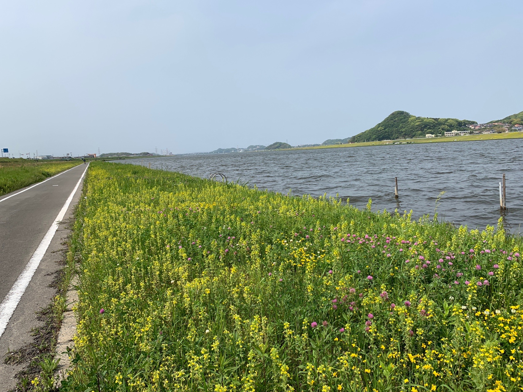遠賀川サイクリングロード20200505 / オーシャンブルーさんの六ヶ岳の活動データ YAMAP / ヤマップ