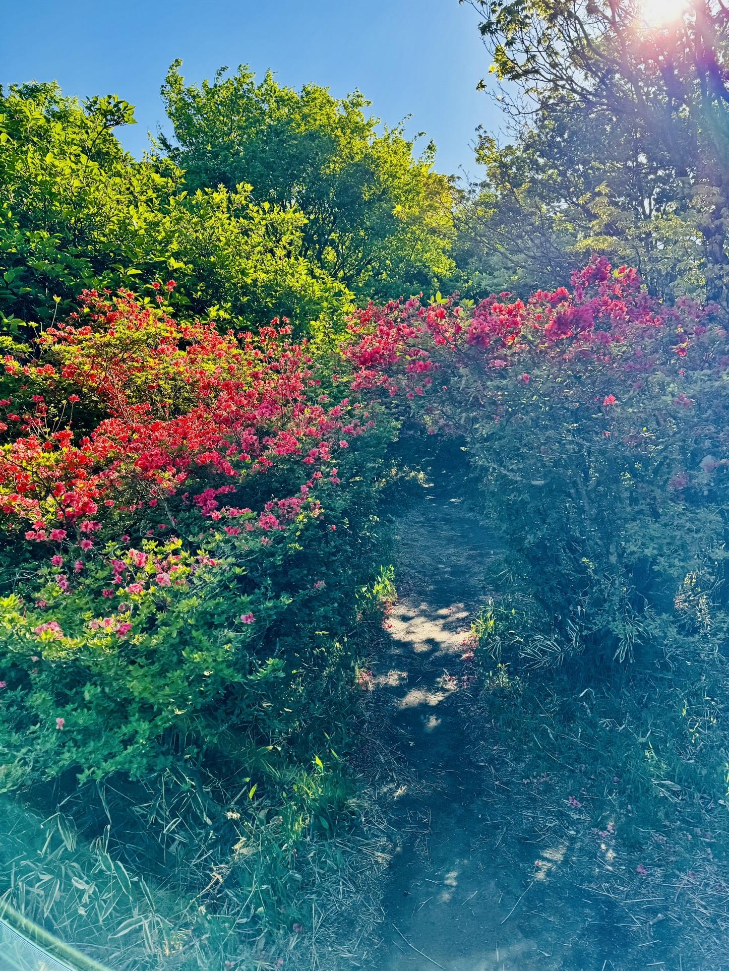 トンネル潜って帰ります