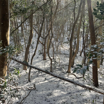 御伊勢山・雨乞山・相原山 雨乞い山との鞍部。