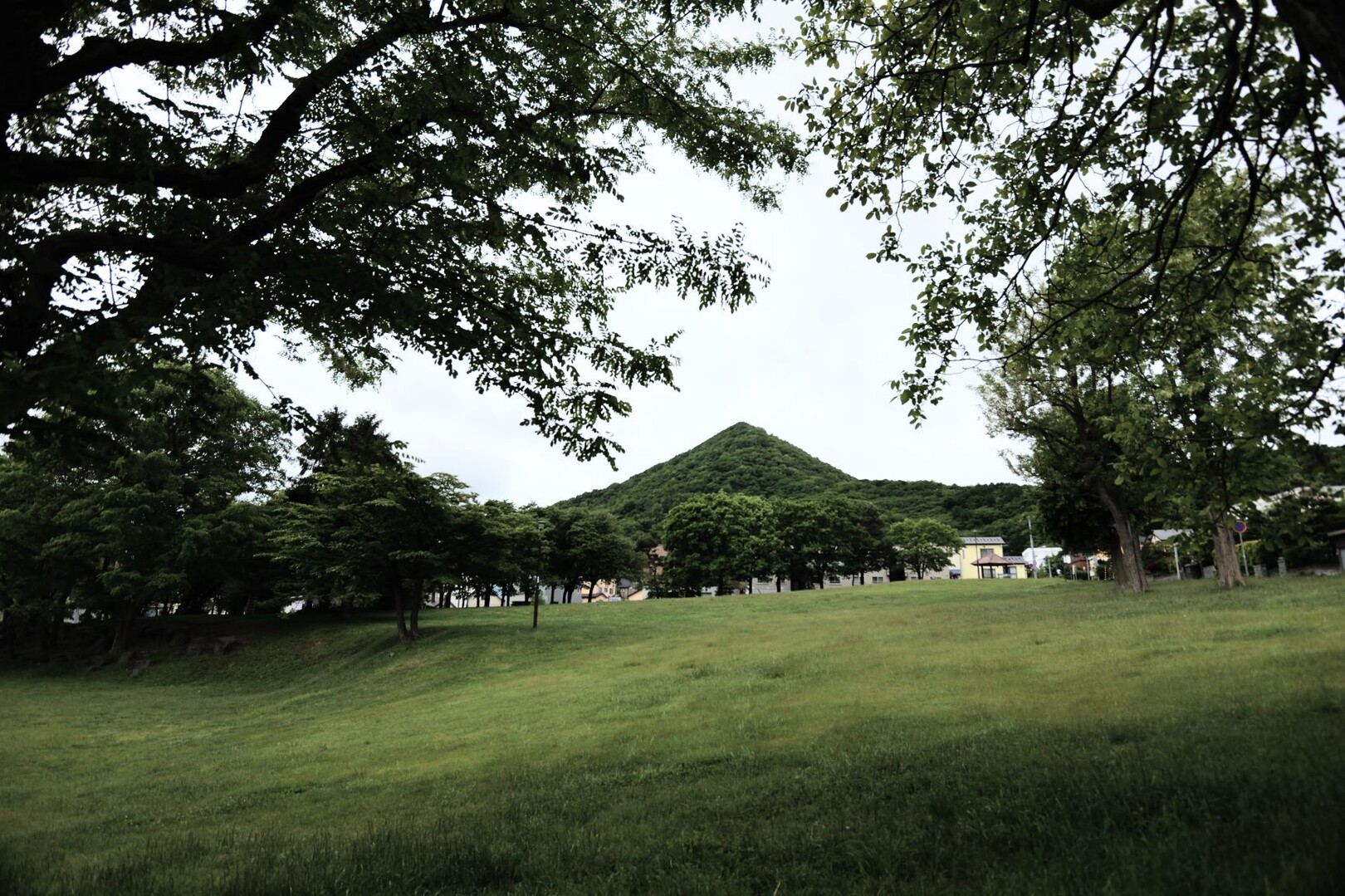 蝦夷蝉が静かな尾根 奥三角山へ 北前船さんの三角山 札幌市 大倉山 円山の活動データ Yamap ヤマップ