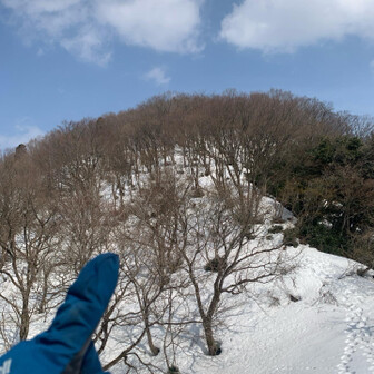 尖山 こんなかんじの丘を何個か越えていく⤴︎