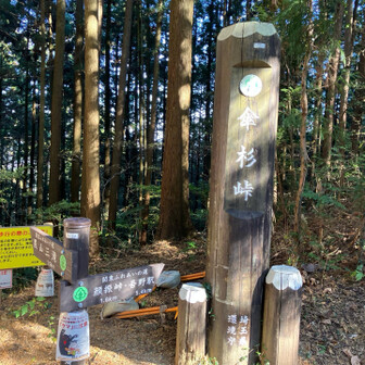 傘杉峠が本日のピーク