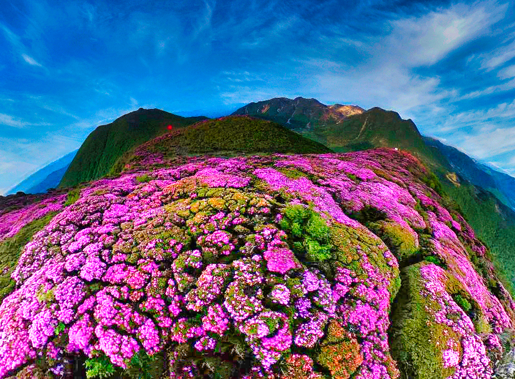 春 出逢いと別れ 初老とて Sin358さんのモーメント Yamap ヤマップ