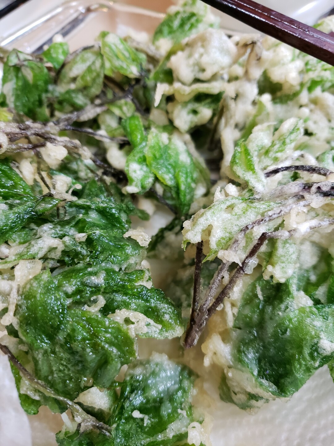 今日採れたコシアブラを天ぷらと混ぜご飯に Kichyさんのモーメント Yamap ヤマップ