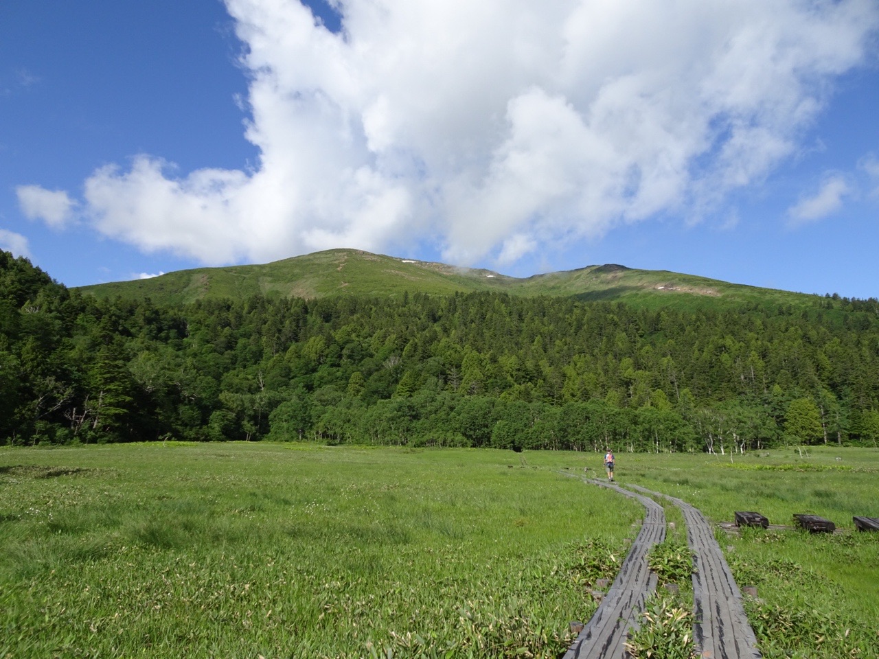 21尾瀬 山開きしたばかりの至仏山へ いかさんの至仏山 悪沢岳 笠ヶ岳の活動データ Yamap ヤマップ