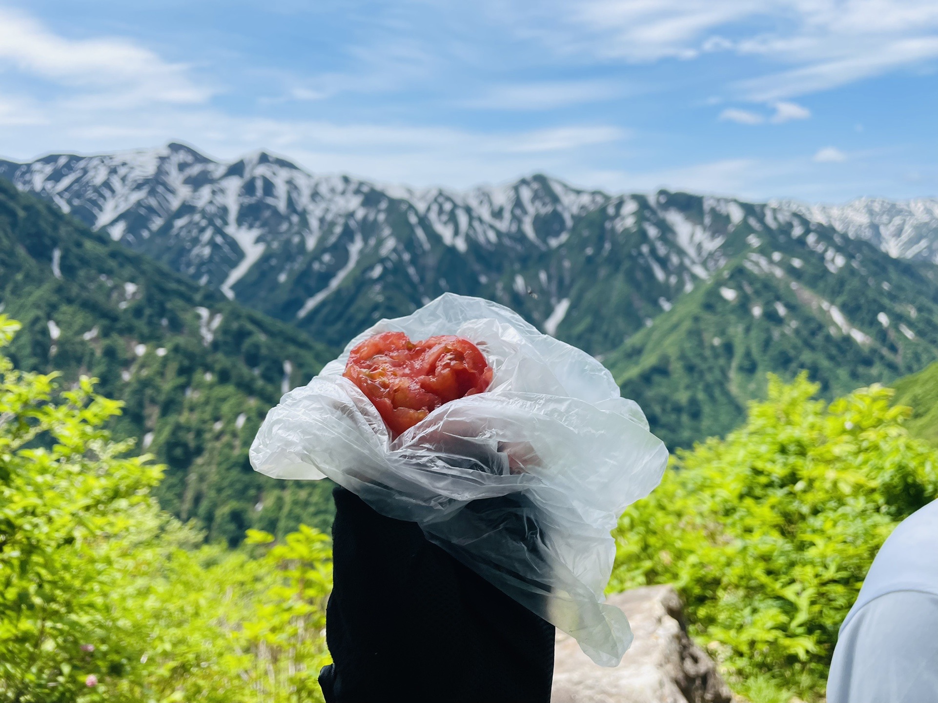 トマトまだ冷え冷えです🍅