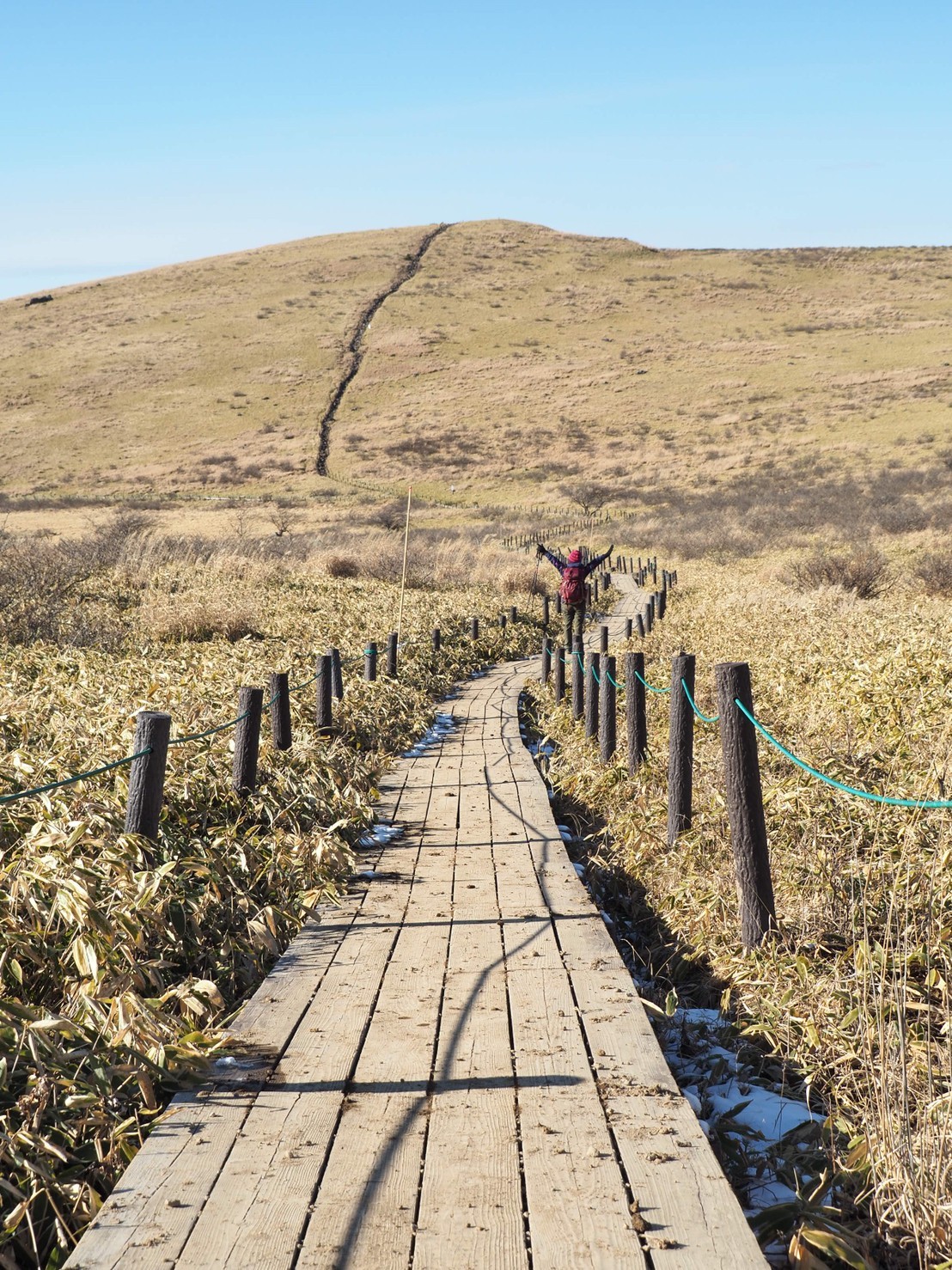 霧ヶ峰 車山 蝶々深山 Kimmyさんの霧ヶ峰 車山 大笹峰の活動データ Yamap ヤマップ