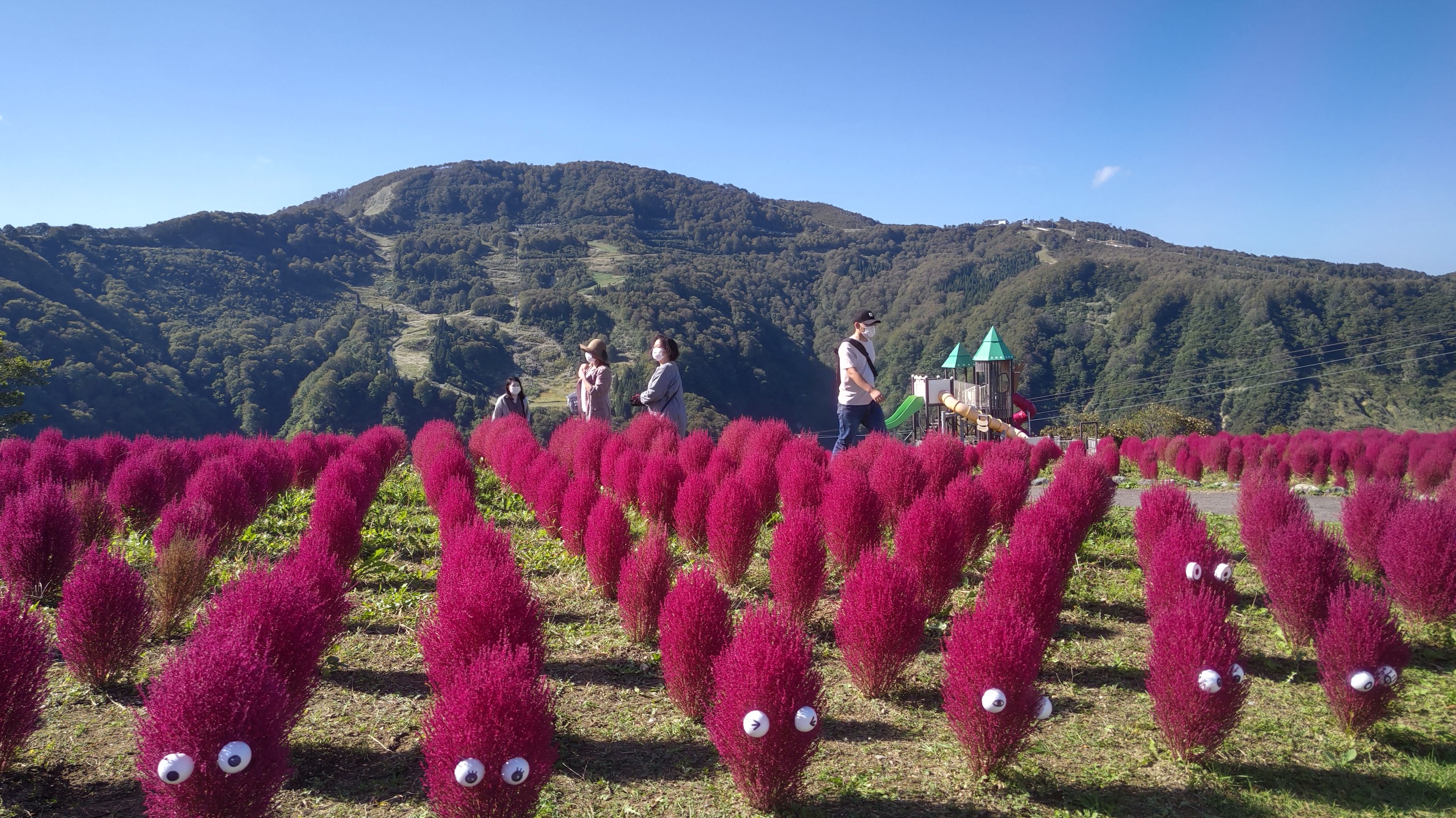 中古】 「エーデルワイスの帰還」( ; ゜Д゜) 模型/プラモデル