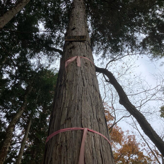 銘板は高～いところにありました