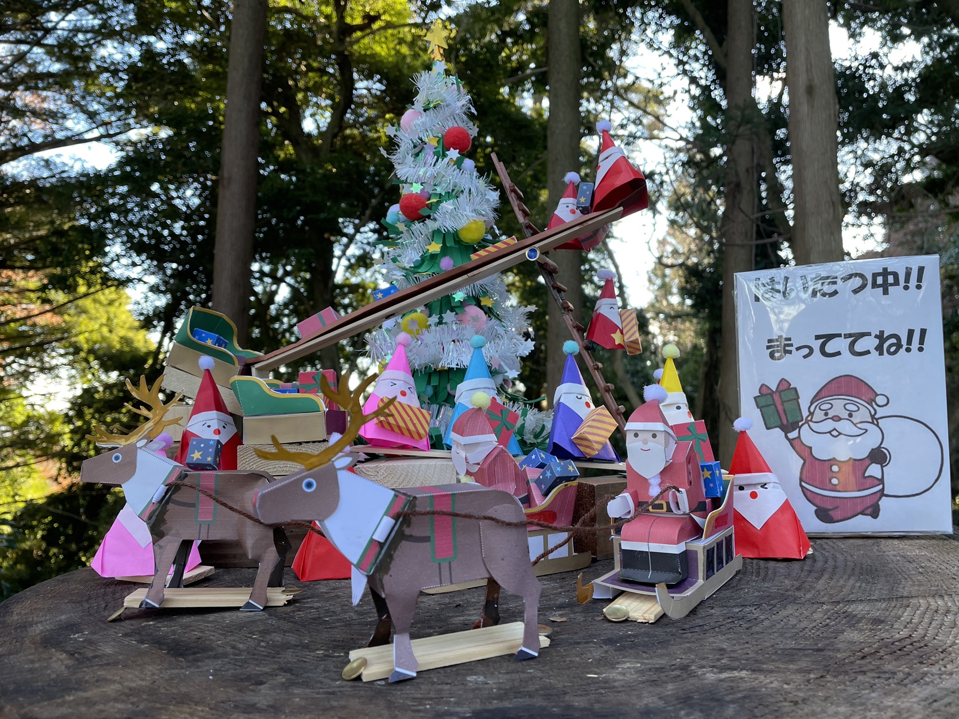 高尾山 神変山 あきこさんの高尾山 陣馬山 景信山の活動データ Yamap ヤマップ