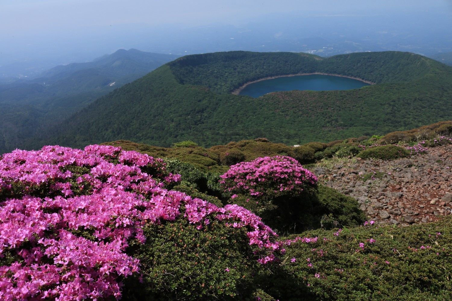 見頃を迎えるミヤマキリシマ 深山霧島 の 韓国岳 山頂 令和二年 ２０２０年６月５日 Rikaさんの霧島山 韓国岳 高千穂峰 夷守岳 烏帽子岳の活動データ Yamap ヤマップ