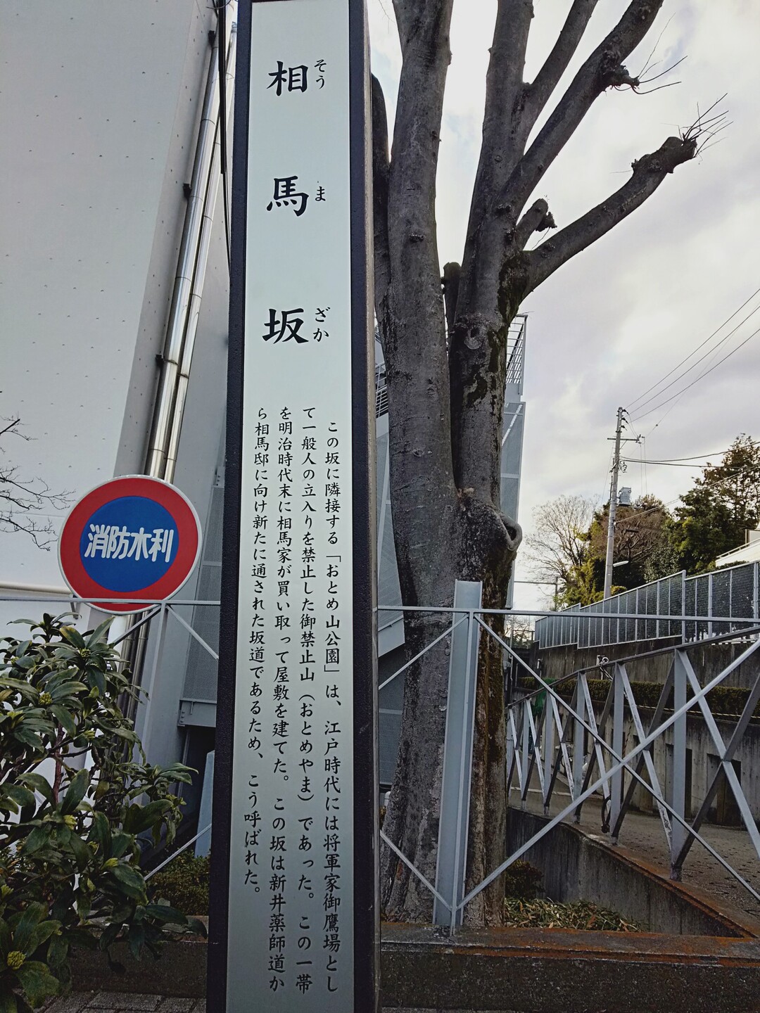 おとめ山 箱根山 Noraemonさんの東京都23区 中央エリアの活動日記 Yamap ヤマップ