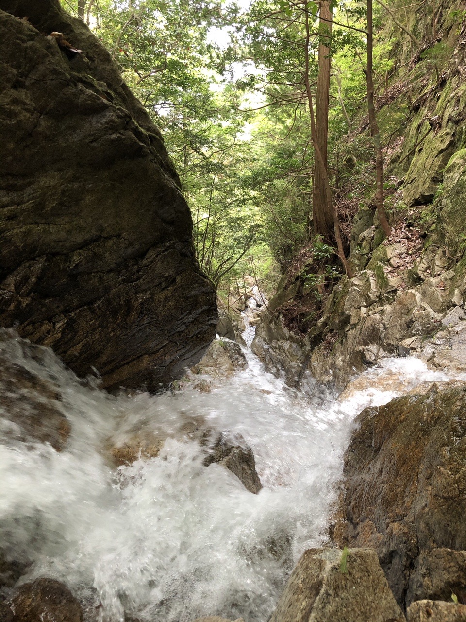 リトル比良 高島 見張山 鳥越峰 岳山 岩阿沙利山 嘉嶺ヶ岳 滝山 ヤケ山 北小松駅 ゆきさんの比良山地 武奈ヶ岳 釈迦岳の活動日記 Yamap ヤマップ