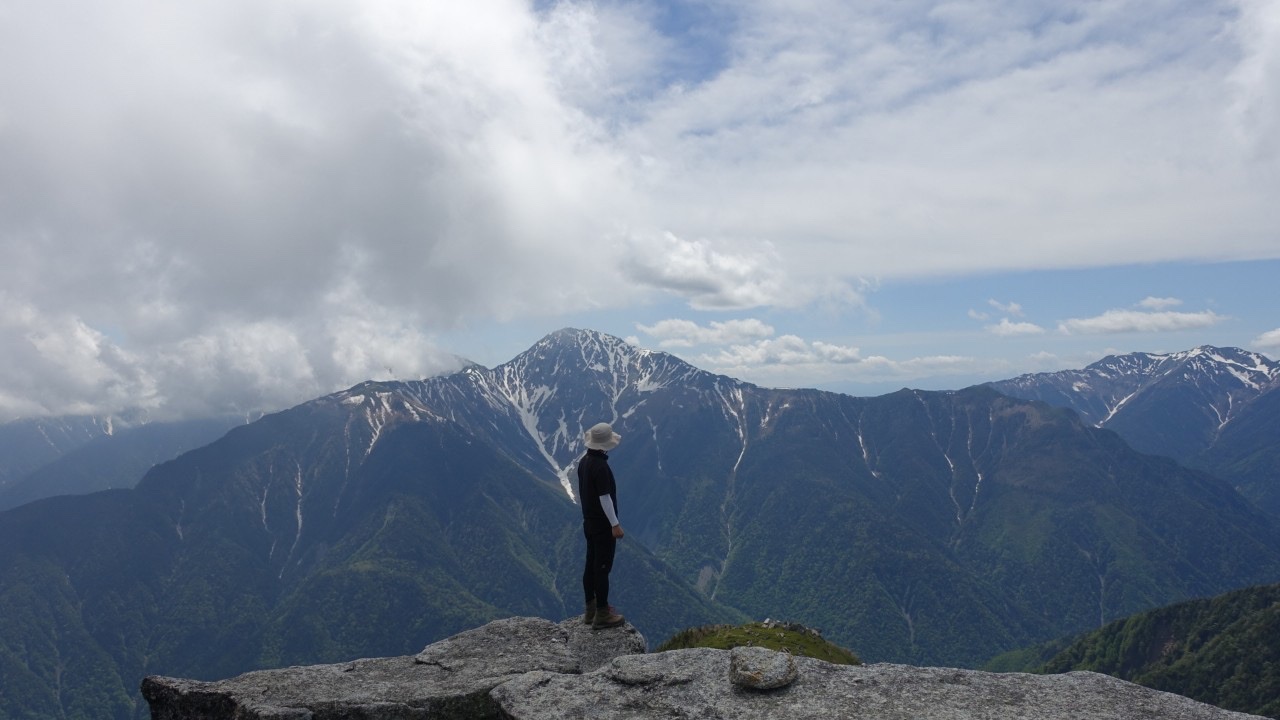 山採り ソヨゴ 約170センチ よこやま 純米吟醸 SILVER7 | 日本酒