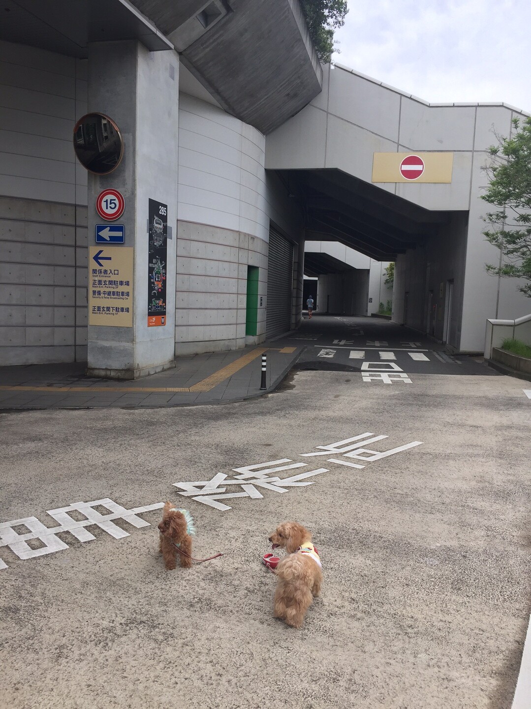 0704 日産スタジアムなら雨でもお散歩大丈夫 れんぱぱさんのウォーキングの活動日記 Yamap ヤマップ