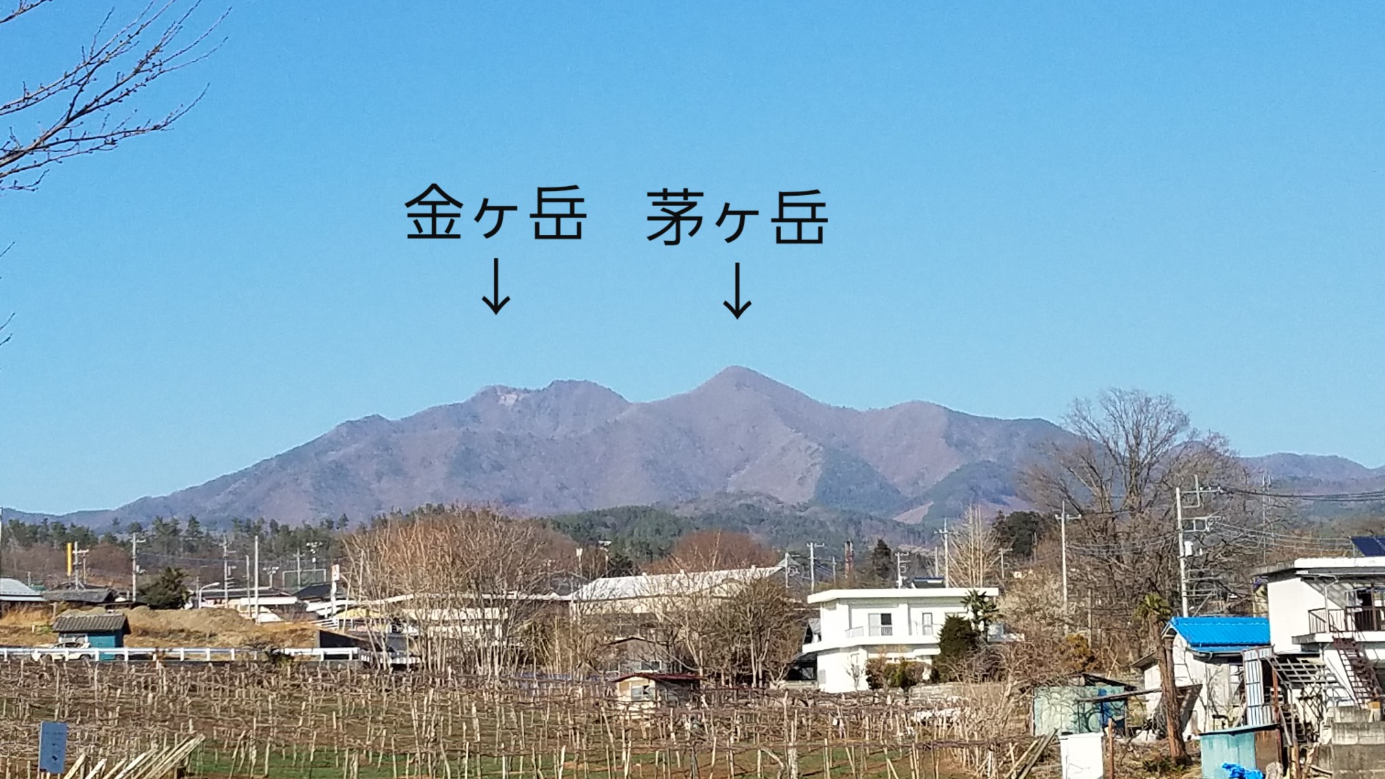 偽八ヶ岳の茅ヶ岳 金ヶ岳 Hori0427さんの茅ヶ岳 金ヶ岳 太刀岡山の活動データ Yamap ヤマップ
